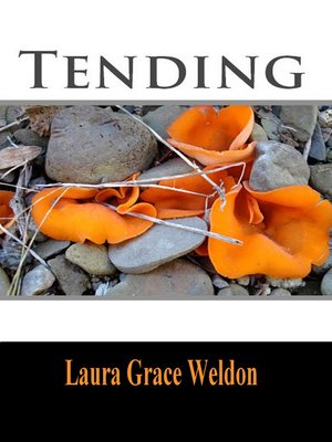 cover image of Tending